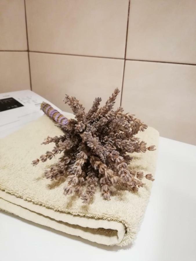 Apartman Jela Šibenik Kültér fotó